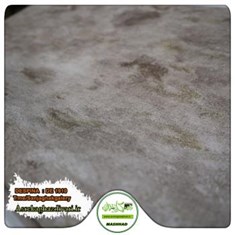 کاغذ-دیواری-پتینه-آلبوم-دسپینا-DESPINA-کد-1910