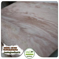 کاغذ-دیواری-پتینه-آلبوم-دسپینا-DESPINA-کد-1918