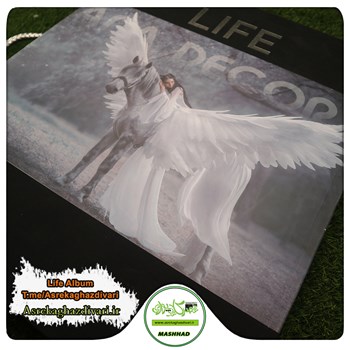 کاغذ-دیواری-آلبوم-لایف-Life-کد-203-طرح-پتینه-رنگ-سبز-طلایی