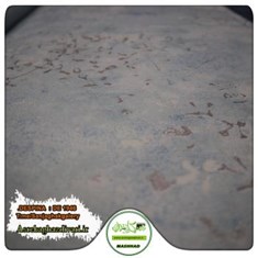کاغذ-دیواری-آلبوم-دسپیناDESPINA-طرح-پتینه-کد-1946