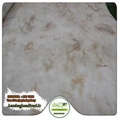 کاغذ-دیواری-پتینه-آلبوم-دسپینا-DESPINA-کد-1908