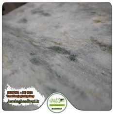 کاغذ-دیواری-پتینه-آلبوم-دسپینا-DESPINA-کد-1912