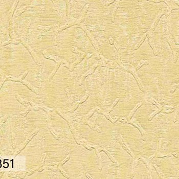 فیورنزا2دی-اند-سی