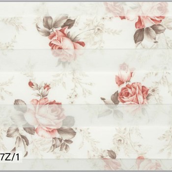 زبرا-رایول3