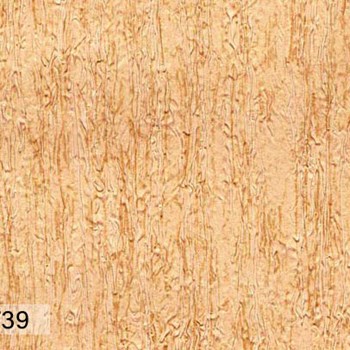 کاستلودی-اند-سی