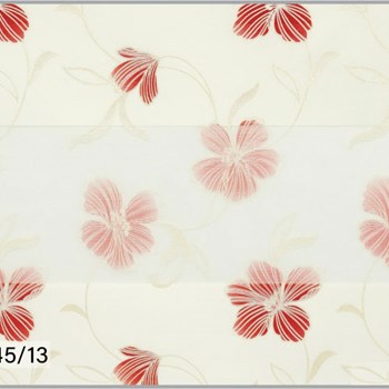 زبرا-رایول3