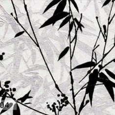 سرنیس-سیمادی-اند-سی