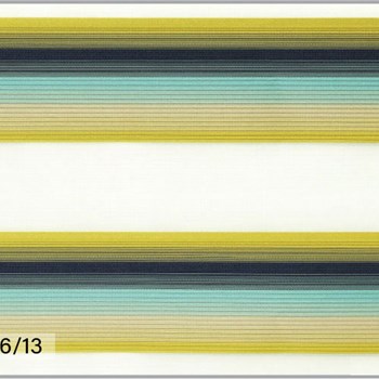 زبرا-رایول3