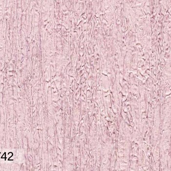 کاستلودی-اند-سی