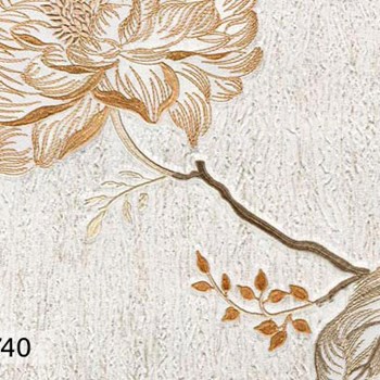 کاستلودی-اند-سی