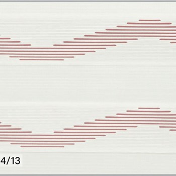 زبرا-رایول5