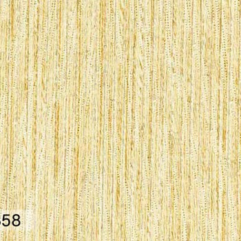 فیورنزا2دی-اند-سی