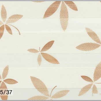 زبرا-رایول3