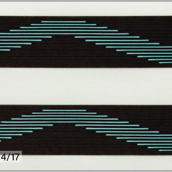 زبرا-رایول5