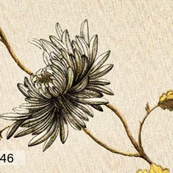 سرنیس-سیمادی-اند-سی