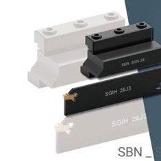 SBN-SGIH
