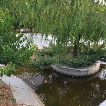 فروش-چهار-دیواری