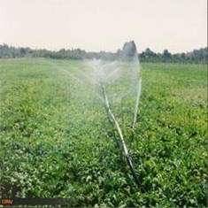 طرح-آبیاری-ویلمو-مجموعه-اتصالات-آبیاری-در-سبد-کالایی-رستا-سنتر