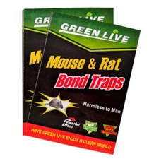 چسب-موش-کتابی-گرین-لایو