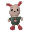 عروسک-خرگوش-نانو-کد-N6-رنگ-سبزآبی