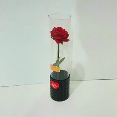 باکس-گل-رز-قرمز-مدل-استوانه-شیشه-ای-کد-7010