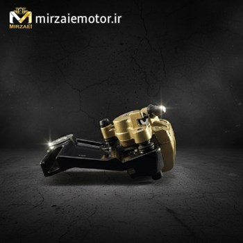 پمپ-روی-دیسک-جلو-ns200-با-پایه-اصلی