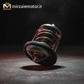 ترموستات-ns200-اصلی