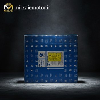 پمپ-روی-دیسک-جلو-ns200-با-پایه-اصلی