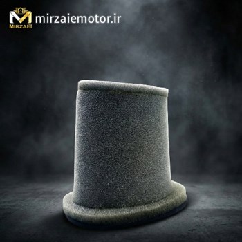 فیلتر-هوا-بنلی-250