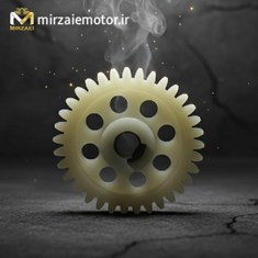 دنده-تکی-اویل-پمپns200-اصلی