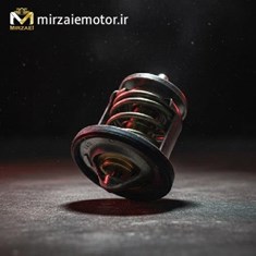 ترموستات-ns200-اصلی
