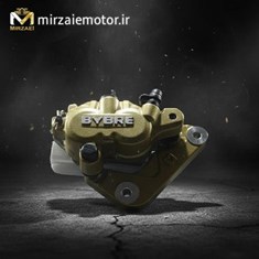 پمپ-روی-دیسک-جلو-ns200-با-پایه-اصلی