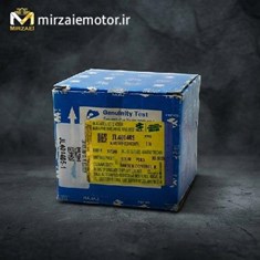 قلوه-استارت-ns200-انژکتور-اصلی