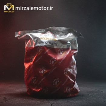 کاربراتور-NS200-GOLDEN-KH