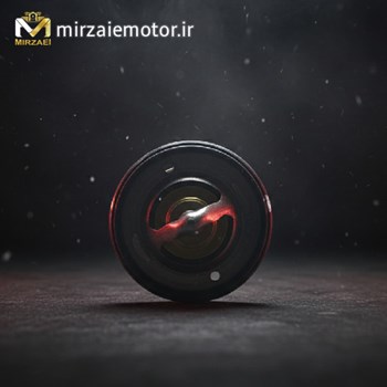 ترموستات-ns200-اصلی