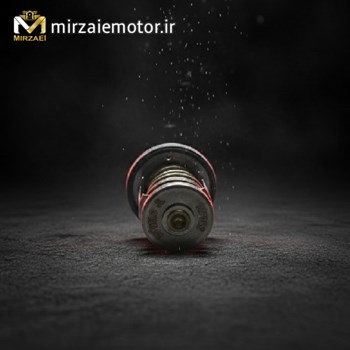 ترموستات-ns200-اصلی