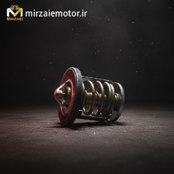 ترموستات-ns200-اصلی