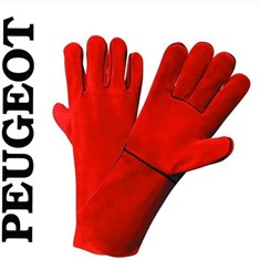 دستکش-هوبارت-پاکستانی