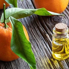 روغن-پرتقال