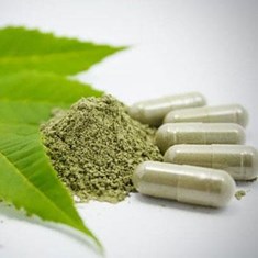 کپسول-لاغری-چای-سبز