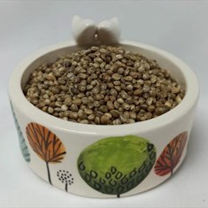 شاه-دانه-خام