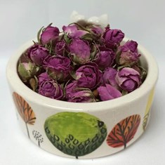 غنجه-گل-محمدی