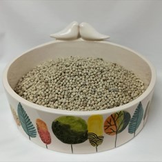 فلفل-سفید-درشت