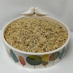 جو-دوسر-با-سبوس