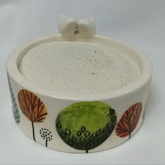 کف-دریا-نرم