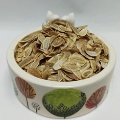 آنجدان-رومی