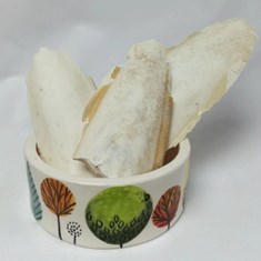 کف-دریا-درشت