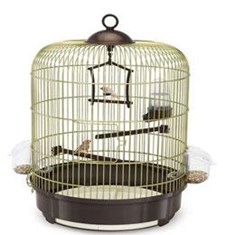 04824-قفس-پرنه-MILLY-طلایی