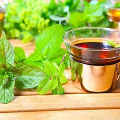 دمنوش-نعناع