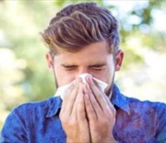 محصول-تستی-2